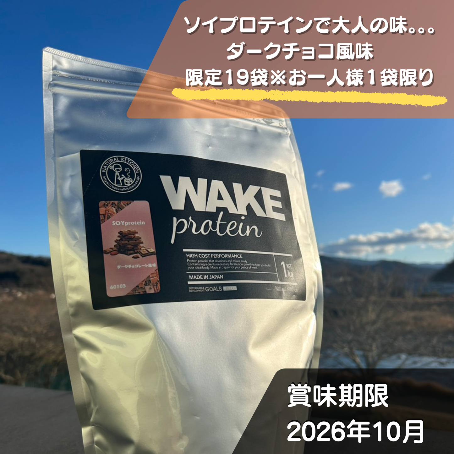 60103 WAKEPRO ソイプロテイン ダークチョコ風味1kg