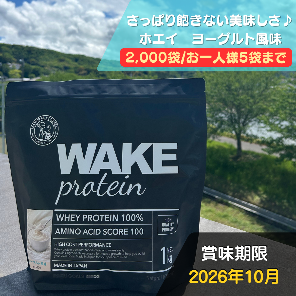 60401 WAKEPRO ホエイプロテイン ヨーグルト風味1kg – wake-pro
